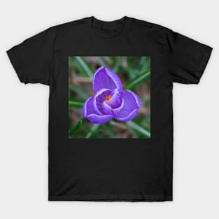 Purple Flower Opening T-Shirt